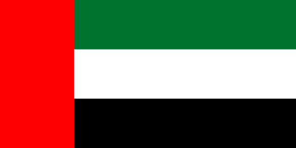 Vereinigte arabische Emirate (.ae)
